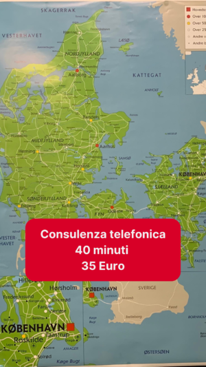 Consulenza telefonica di 40 minuti