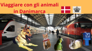 Viaggiare con gli animali in Danimarca